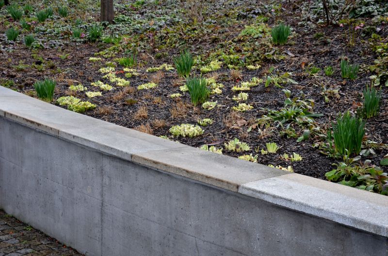 Concrete Retaining Wall Installation